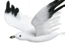 The seagull model shows the elegance and freedom of the seagull through meticulous carving, which is suitable for home and office decoration, adding natural elegance and artistic atmosphere.