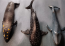 Whale models are not only a vivid representation of the shape and ecological characteristics of whales, but also an important tool for scientific education and artistic display
