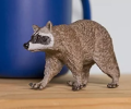 The raccoon model is a vivid representation of the raccoon and is widely used in education, research and art to help people understand its biological characteristics and ecological role, and to raise awareness of nature conservation.