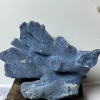 Coral specimens are unique and beautiful in nature, which are both important objects of scientific research and inspiration for artistic creation. Corals are not only an important part of the Marine ecosystem.