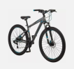 The bicycle is an environmentally friendly, economical and healthy means of transportation, powered by human power, suitable for daily travel and leisure activities, popular among people of all ages.
