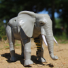 Animal models play a vital role in biomedical research, as they are important tools for studying disease mechanisms, testing drug efficacy and evaluating treatments.