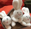 The stuffed rabbit is a soft and gentle toy that carries the memories of my countless memories. Its furry body and gentle eyes make me feel warm and safe at all times. It's an integral part of my life, I love it, and I thank it.