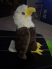 The eagle plush toy has quickly become a beloved item for both children and adults, transcending age boundaries with its charm and appeal. Soft, cuddly, and intricately designed,