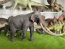 The elephant model is a thinking tool widely used in various fields, designed to help people understand and analyze complex systems and phenomena. Its core idea is to simplify a large and complex thing into a few key elements.