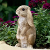 Rabbit models are widely used in ecology and mathematics to help study population dynamics and ecological balance.This model was first proposed by mathematician Fermat, and later expanded and refined by other scientists.