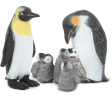 The penguin model is a combination of art and science based on the real penguin, vividly showing its physiological characteristics and ecological habits