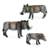 Boar model plays an important role in ecology and biology research. As an adaptable species, wild boars exhibit different survival strategies in different environments, which makes them an important object for studying population dynamics.