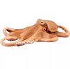 The Octopus model is an important management and decision making tool designed to help organizations understand the interactions between the various parts of a complex system.Making abstract concepts easier to understand and apply.