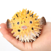 The puffer model is a theoretical model widely used in ecology and economics to help researchers understand and analyze dynamic changes in ecosystem and market behavior by simplifying complex systems.