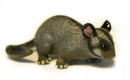 Possum model is an important ecological and biological research tool, which is widely used in the exploration of biodiversity, ecosystem function and species interaction. Possum has some special physiological characteristics and social behaviors.
