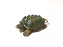 Snapping turtles are large freshwater reptiles known for their distinctive appearance and behavioral characteristics. Snapping turtles have a hard shell, usually brown or green, which allows them to better hide themselves in the water from predators.