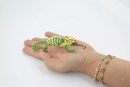 Chameleon models simulate the anatomical structure and color changes of chameleons and are used for scientific research, educational displays and collections to help understand their physiological characteristics and ecological adaptations.