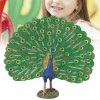 The peacock model recreates the appearance and anatomy of the peacock in detail and is widely used in scientific research, educational displays and collections to help gain insight into the beauty and biology of the peacock.