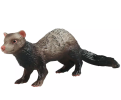 Ferret models reproduce the appearance and anatomy of ferrets in detail and are widely used in scientific research, educational displays and collections to help gain insight into the biological characteristics and natural beauty of ferrets.