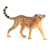 By analyzing the ecological behavior and adaptation mechanism of leopards, leopard model helps to study ecological balance and species protection, and becomes an important research tool in ecology and conservation biology.