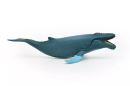 Whale modeling is a tool to study the relationship between cetaceans and ecosystems, and to help understand the importance of Marine ecological balance by quantifying their behavior and ecological roles.