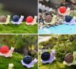 The snail model describes the growth, reproduction and death of snails by mathematical means, aiming to study their population dynamics and response to environmental changes, and is widely used in ecological and agricultural management.