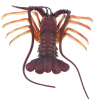 Lobster modeling is an important tool in the field of bioscience research and ecology, and through accurate simulation of the structure and function of lobsters.