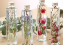 The botanical specimen is an important tool to record the morphological and ecological characteristics of plants by collecting, drying and preserving them. It is widely used in scientific research, education