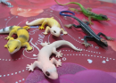 The gecko model is based on the unique climbing mechanism of the gecko and utilizes the van der Waals forces of the structure of the sole of its foot, inspiring research and applications in the fields of biomimetic materials and robotics.