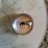 Bees are a unique and important group of insects. Hymenoptera,which is divided into several species. They are known for their special social behaviors and ecological habits, often living in groups and forming complex social structures.