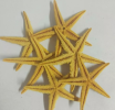 Starfish specimens are fixed and treated starfish that display their unique morphology and structure and are suitable for scientific research, education and the dissemination of Marine conservation awareness.