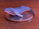 Whale models, which show the true size and structure of whales, are used in education and research, as well as decorative art to help raise awareness of Marine life and ecological conservation.