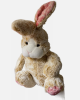 One warm afternoon,a stuffed rabbit sat quietly on the soft grass.Its body is covered with soft fluff,white as snow,like a small cloud.The rabbit's ears are long and sensitive,and they prick up from time to time to catch the small sounds around them.