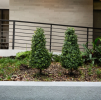 Green plants are an indispensable part of nature, they not only add vitality and color to the environment, but also play a vital role in our daily life. Whether on a sunny balcony or in a spacious office.