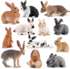 The application of the rabbit model is not limited to the field of ecology, but also extends to many disciplines such as economics and sociology. In these fields, population growth and dynamics are used to analyze phenomena such as consumer behavio.