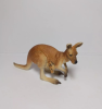 The kangaroo model is a conceptual framework widely used in ecological and biological research to help scientists understand animal population dynamics and their interactions with the environment.