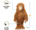 Puppet art is a unique field bearing history and emotion, it is not only the embodiment of handicraft, but also an important form of dramatic expression.