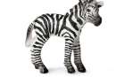 If we work together to protect them and their habitats, then we can ensure that these beautiful creatures continue to exist on the African grasslands. Together, let's do our part to protect zebras!