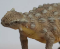 Whether in academic research or education, dinosaur models will serve as a bridge between past and present, exploration and inspiration, and open digital Windows to the prehistoric world