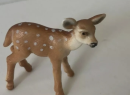 As the guardian of the forest, white-tailed deer not only enriches the diversity of nature, but also provides us with profound ecological education and conservation enlightenment. Let us work together to protect these elegant creatures to ensure the
