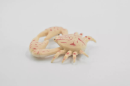 Crabs are among the most diverse and ecologically significant crustaceans in our oceans, with over 6,800 recognized species.