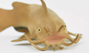 The six-barbeaded catfish model can also be used in museum exhibitions and educational programs to help visitors more fully understand the lifestyle and ecological functions of this large freshwater fish.