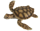 Tortoise models can also be used in museum exhibitions and educational programs to stimulate audience interest and increase understanding of the natural world by showing the detailed structure and behavior of tortoises