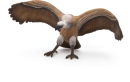 This article explores the significance of vultures, shedding light on their unique adaptations and the vital services they provide to the environment.