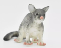 Another important ecological role of possums is as a bridge between predators and prey. Possums not only prey on pests, but also become prey for other animals. This dual identity allows them to play an important role in the food chain