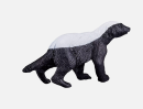 The honey badger, scientifically known as Mellivora capensis, stands as a remarkable symbol of resilience and fearlessness in the natural world.