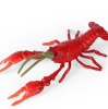 Shuttling through the city's crayfish stalls, the lively crowd, is the love of life and the pursuit of delicious food. This summer, let's continue to enjoy the beauty of crayfish and immerse ourselves in that unique blend of flavor and culture.