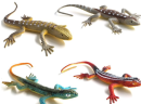 The gecko model is not only a biological tool, but also the embodiment of natural aesthetics. By exploring the gecko model, we are able to appreciate and learn more deeply about the mysteries of nature and experience the perfect fusion of science