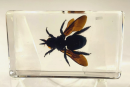 Bee specimens play a vital role in the study of biodiversity and environmental science. By collecting and preserving bees, researchers can create valuable reference materials that enable them to monitor changes in bee populations over time.