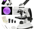 A microscope is a window through which we can observe the other side of the world. Its birth and development not only enriched the human knowledge system, but also stimulated our enthusiasm for exploring the unknown.