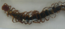 Whether in scientific research, educational displays or personal collections, centipede specimens provide us with a unique perspective and a wealth of knowledge that allows us to develop a deeper understanding of the natural world.