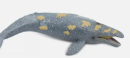 The whale model is a three-dimensional representation of the whale, a giant Marine creature, commonly used for education, scientific research, artistic creation, and public display