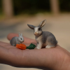 The rabbit model is a classic model in ecology and mathematical modeling, which was first proposed by the famous mathematician Fermat and later popularized by Dalton.