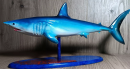 The shark model is a compelling biological model that provides an important perspective for the study of Marine ecosystems. As the top predator in the ocean, sharks play a vital role in the ecosystem.